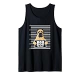 Bad dog mug shot English Mastiff