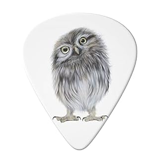 ASDTEHCY Lot de 6 médiators en celluloïd Little Owl pour guitares acoustiques, électriques, basses ou ukulélé - Les Beatles, Paul McCartney, John Lennon, RIngo Starr, George Harrison ASDTEHCY Lot de 6 médiators en celluloïd Little Owl pour guitares acoustiques, électriques, basses ou ukulélé – Image 3