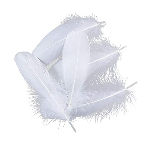 Fearafts - Piume d'oca naturali per lavori