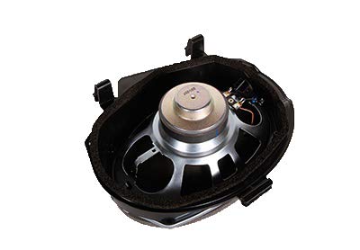 Amazon.com: ACDelco 10392738 GM Original Equipment Rear Radio 