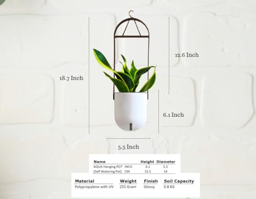 Image of Indian Discovery Self Watering Ceiling Hanging Planter|Hanging /Hooked Flower Pots for Home, Balcony, Vertical Garden Decor Flower Pots(1 PC,White, Sphere)|6 Inch UV-Resistant Plastic Plant Pots