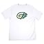 Georgia Gwinnett College/W/Primary Logo/Yt