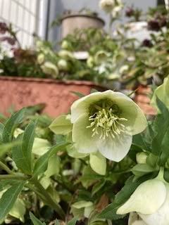 お客様イメージ