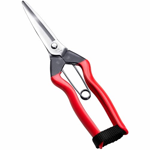 Best Blunt Garden Shears