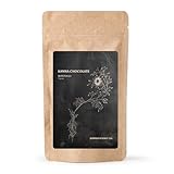 Kanna Extract Co. BLISS Kanna Chocolate