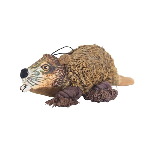 Ropers Beaver ʂ  [v v  j 