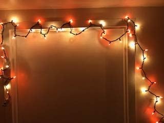 Fairy Lights Fall Mini Lights Amber Orange Golden Yellow Autumn Decor Fairy String Lights Indoor/Outdoor Halloween Parties Garden Patio Thanksgiving Fall Weddings 50 Lights 12 ft (1 Set)