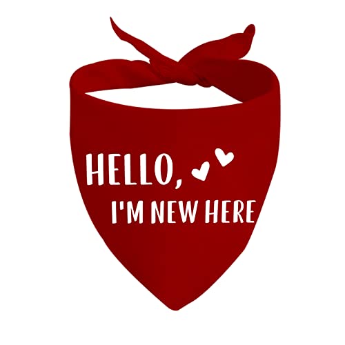 JXGZSO 1�s�[�X Hello I'm New Here Dog Bandana New Puppy Reveal Dog Bandana New Puppy Announcement Gift (New Here D)