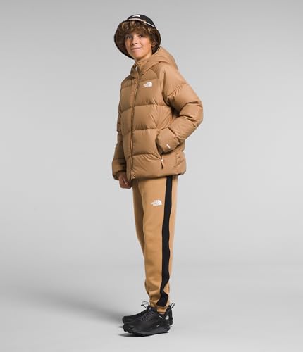 The North Face Boy's Reversible North Down Hooded Jacket (Little Kids/Big Kids)2