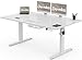 Devoko Höhenverstellbarer Schreibtisch 160x80cm mit Typ-C Ladeanschluss, Mobiler Elektrisch Computertisch mit Kabel Management Tray und 3-Funktions-Memory, Weiß