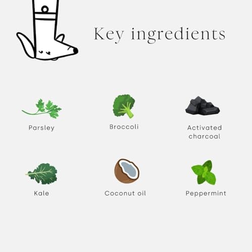 Scooch Dental Stick Chews for Dogs, Natural Green, 26 g (Pack of 7) - Image 3