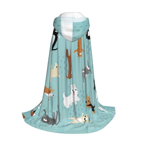 Costume de sorcière vampire avec cape à capuche longue ado chaud