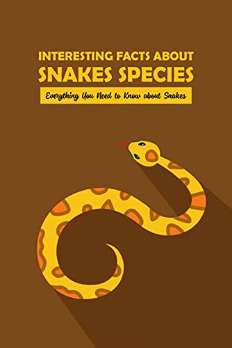 Interesting Facts About Snakes Species Everything You Need To Know About Snakes English 