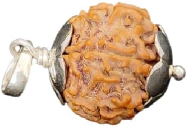 Genuine Saptmukhi Rudraksha Original Saat Mukhi Round Shape Nepal Bead सप्त मुखी रुद्राक्ष IGL Lab Tested Seven Face Real Rudraksha with Pendant Pure Silver Blessed by Goddess Lakshmi