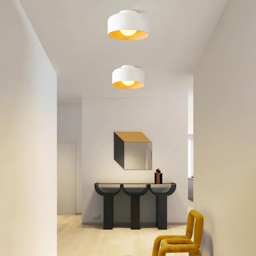 Lámpara de techo con veta de madera pequeña para iluminar techos bajos con estilo 4