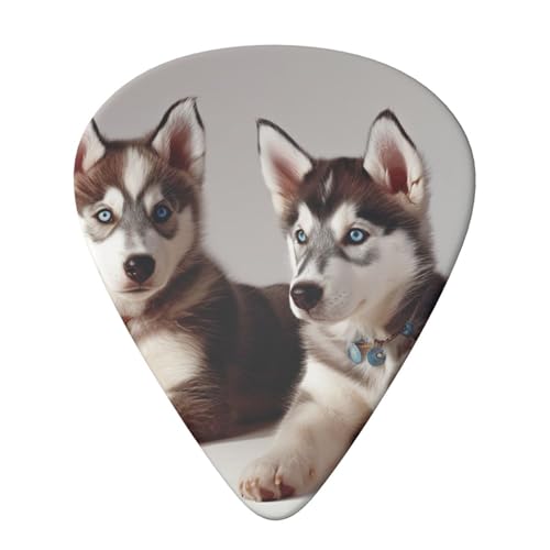 Evanem ギターピック 6個パック エレクトリックウクレレピック用 オーガナイザー収納ボックス付き ドッグプリント ベースピック アコースティックギター用 0.71mm