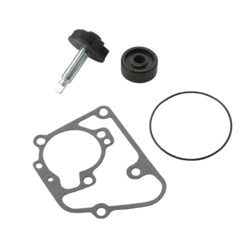 Kit de réparation de pompe à eau 100110090 pour Madison 125