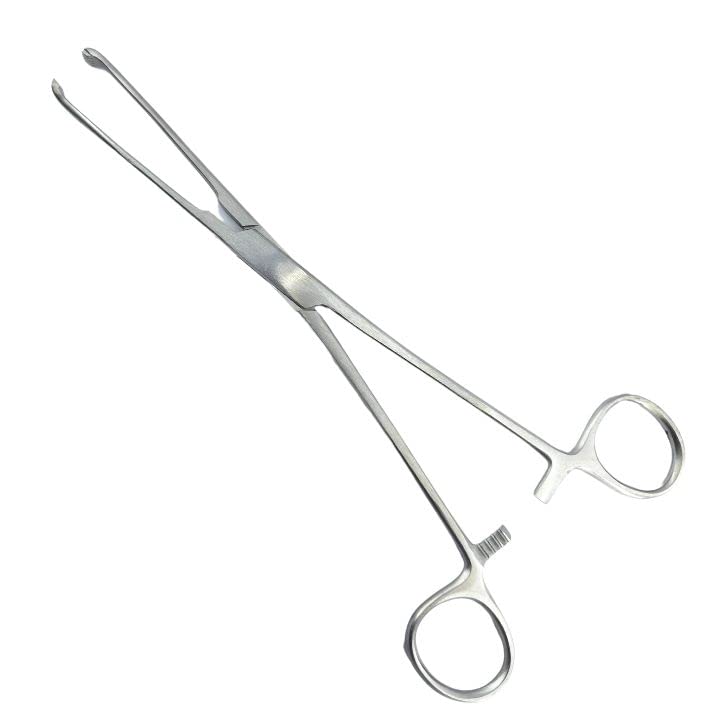 Image of Allis Tissue Holding Forceps 8 Inch | Stainless Steel Surgical Instrument for Grasping, Clamping, Dissection | Reusable Medical Grade Tool