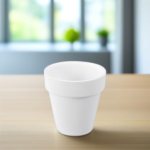 Pots de fleurs céramique pour plantes succulentes et mini bonsaï de maison
