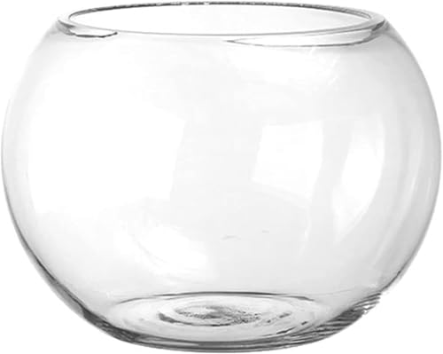 ۂAKXeAAA{EAk͔|AeʁACeAAIuWFAԕrAA (25cm)