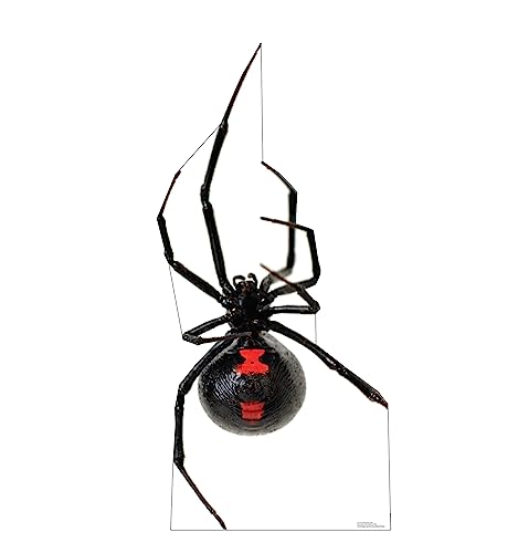 Image of Life-Size Black Widow Spider Cardboard Cutout