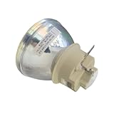KGVBZBR Projektorlampe passend for SP.7C601GC01 BL-FU220E EH330UST W330UST X330UST GT5600
