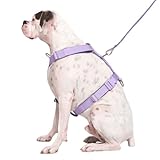 Spark Paws No Pull Dog Harness for Large Dogs, Heavy Duty Dog Harness for Big Strong Breeds, Adjustable, Y Shaped Padded Halter Design with Front Clip - Purple - Medium