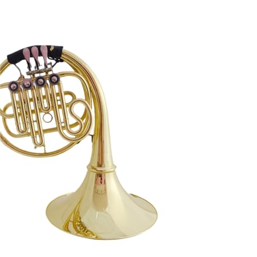 Principiantes Cuerno Francés Si Bemol Mayor Trompa De Una Principiante Introductorio Interpretación Graduada(Four-key single-row French horn)