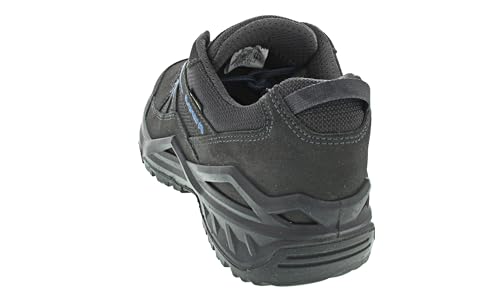 Lowa Adult SIRKOS EVO GTX LO grau Gr. 72
