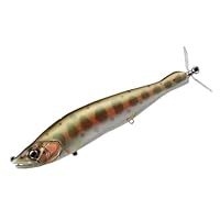 ガンクラフト　KAITEN178F 限定カラー ガンクラフト KAITEN 178 F 178mm/2・3/7oz(約68g) 【シーバス