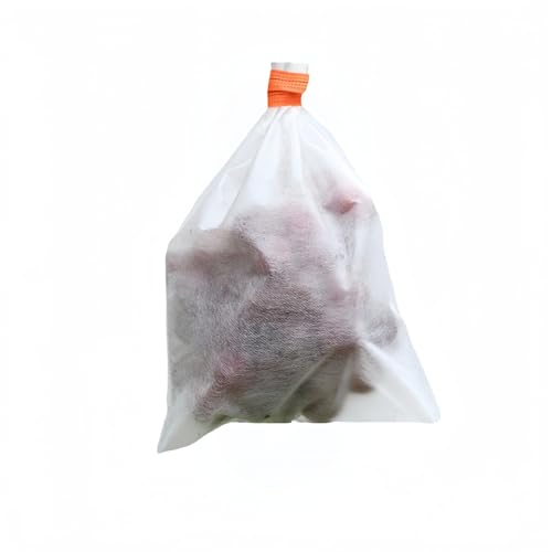 ʕی 100 hlbg ʎ | ȔS^CvEhsDz | n/ʎpی/悯E悯EJX΍ | /A/|p (18*20cm,zCg)
