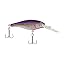Slick Alewife