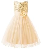 Uhnice Sequin Sleeveless Tulle Mesh Flower Girl Party Dress (4T, Beige)