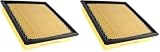 Motorcraft FA1883 Air Filter (Pack of 2)