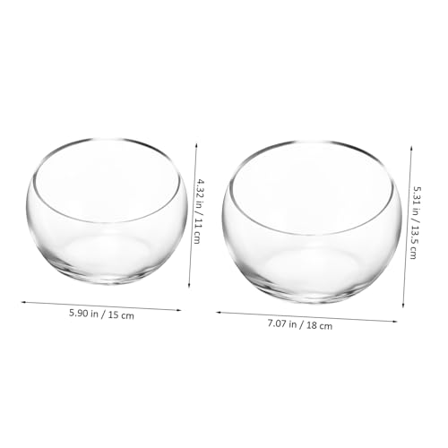 Pots de fleurs transparents pour verdir votre salon avec style - 5