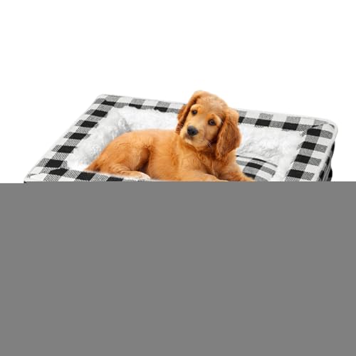 hbOxbh - \tgŗpybgxbh - 􂦂鐇pqxbh,rO[ xbh[ ƒ P[W tA p