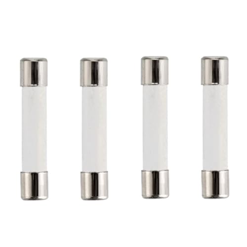 Fusible céramique 6x30 pour réparer l'électroménager et les circuits 250V