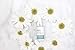 skyn ICELAND Brightening Eye Serum: Eye Primer for Wrinkle Repair, Intense Hydration & Improved Elasticity, 12 ml