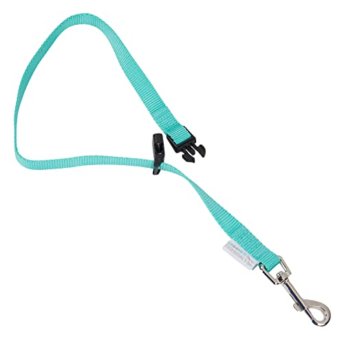 Quick-Release-Loop-Turquoise