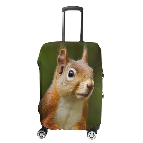 Carry on Luggage Cover Squirrel Suitcase Covers for Luggages Tsa Approved Travel Luggage Sleeve Protector Elastic Suitcase Protector Anti-Scratch Washable Fits 19-30 Inch Case -L
