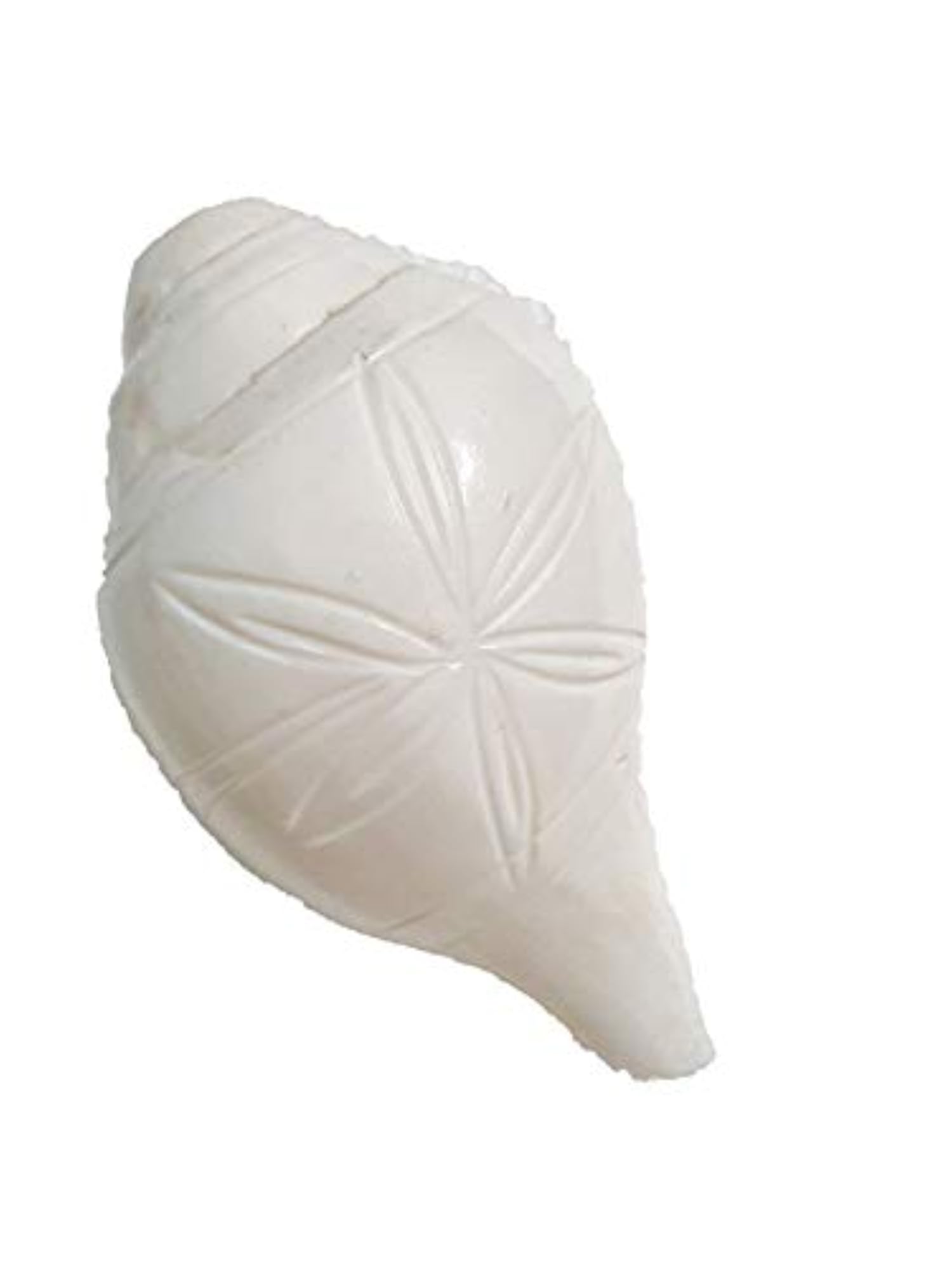 Vamavarti Blowing Shell Shankh, 5 Inch with Flower Design