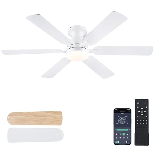 3 blade vs 6 blade ceiling fan