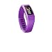 Replacement Fitness Wristband Band for Garmin Vivofit Replacement Strap Bands S L Small Lager Size, NOT for Garmin Vivofit 2/3/JR/HR(No Tracker) (Purple, L)