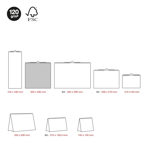 Miquelrius Wandkalender 2026, Jahresplaner, 300 x 300 mm, mit Notizfeld, Doppelspiralbindung, 12-Monatsplaner, Spanisch