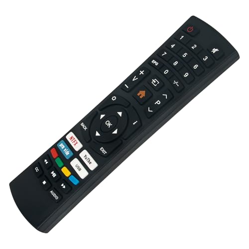 Télécommande de rechange Bolva pour vos soirées cinéma 65SVL20 - 2