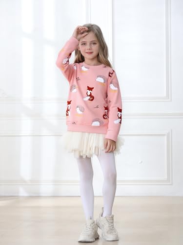 Image of Hongshilian Unisex Kids Cute Cartoon Cotton Sweater Shirt