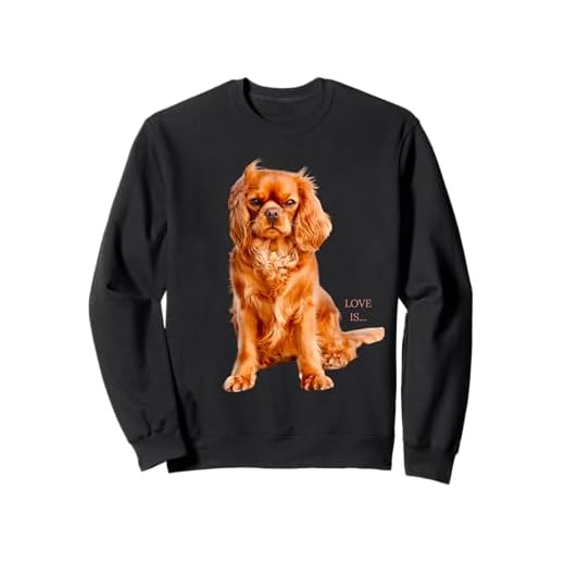 Cavalier King Charles Spaniel Shirt Men Women Love Gift Tee Sweatshirt