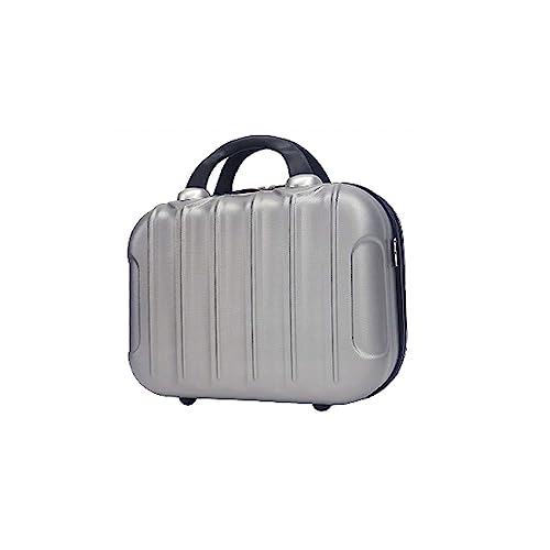 ミニトランク tk14 コンパクト キャリーオンケース ショルダーバッグ 機内持ち込み 小物収納 軽量 トランクケース Transporter (シルバー)