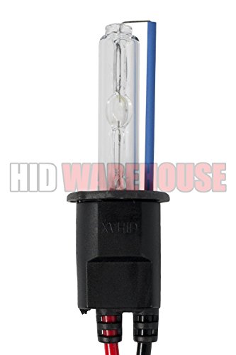 Image of AC HID Xenon Replacement Bulbs - H3 8000K - Medium Blue (1 Pair)