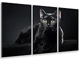  HXA DECO Tableau triptyque Animaux Petit Chat Noir aux Yeux Jaunes - 90x60 cm - Made in France - 90x60